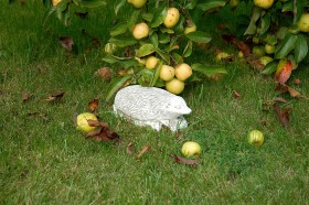 Скульптура Еж