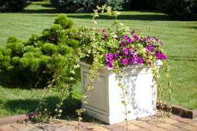 Вазон современный квадратный