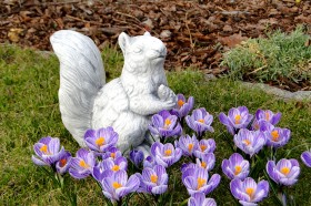 Скульптура Белка с шишкой