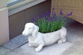 Вазон Такса