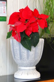 Вазон современный Ваза