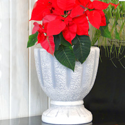 Вазон современный Ваза