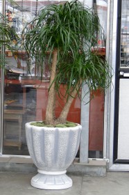 Вазон современный Ваза