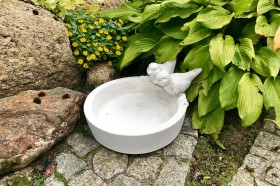 Поилка с птичками