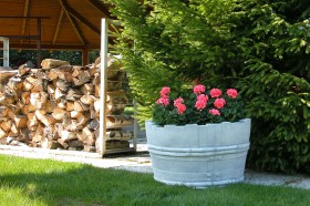 Вазон Кадка