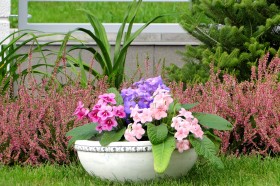 Вазон современный, круглый с ободком