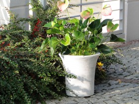 Вазон современный, круглый с расширением вверху