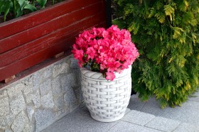 Вазон Плетенка