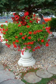 Вазон античный на ножке