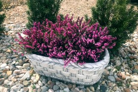 Вазон кашпо Плетёнка