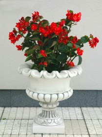 Вазон античный Лилия