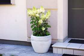 Вазон античный круглый