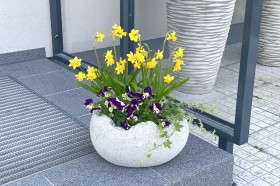 Вазон Скорлупа