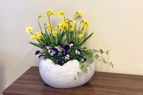 Вазон Скорлупа