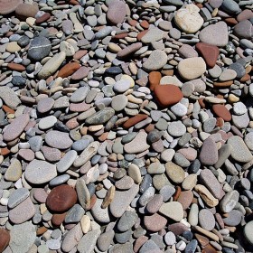 Галька Каспийская с ракушками