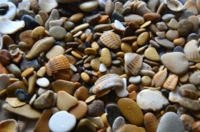 Галька Каспийская с ракушками