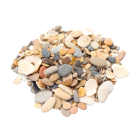 Галька Каспийская с ракушками