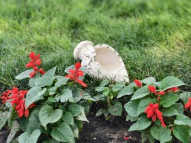 Амфора мини широкая