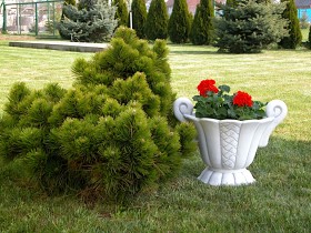 Вазон античный с ушками