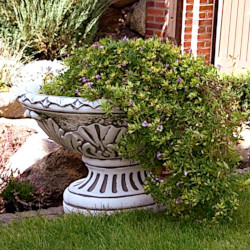 Вазон античный, овальный