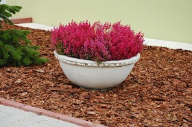 Вазон классический, круглый