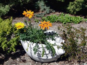 Вазон современный Рапан