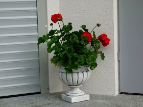 Вазон античный