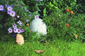 Скульптура Ёж