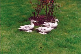 Скульптура Утка